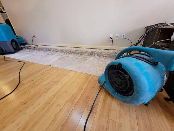 Professional Water Removal technician working in Romayor, TX